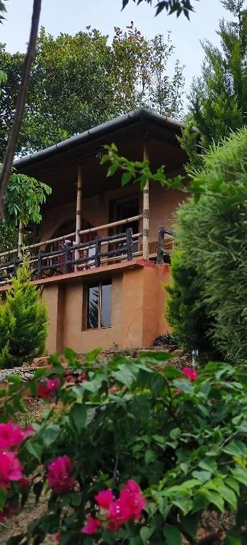 팜스테이 Angels Nest Home Stay 2 Acra Private Plantation Mountain Area Balconey Sunrice View Nearby Ngarhole Wild Life , Tholpetty Wild Life , Pakshipathalam Bird Santuary , Kuruva Island # Thirunelly & Thrissilery Temple Near By Secure Stay Wayanad Kerala Chegāt